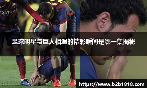 MK体育官方网站